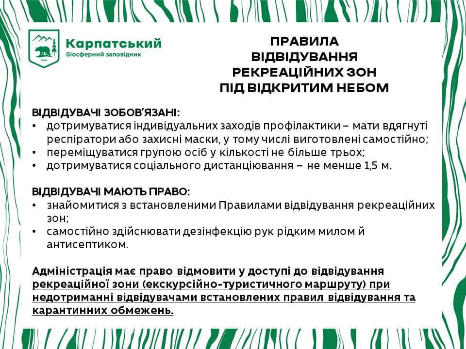 Долину нарцисів на Закарпатті відкрили для відвідувачів