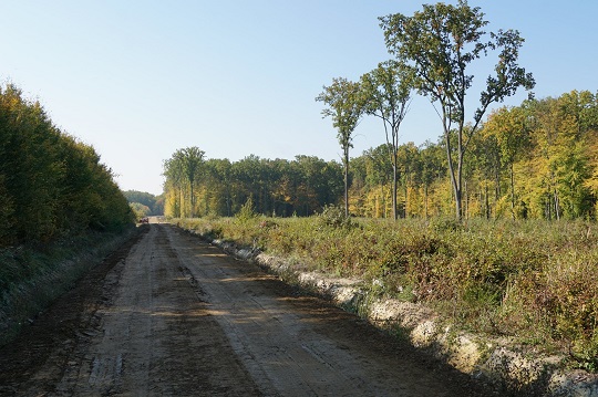 У 1 кварталі на Закарпатті розпочато будівництво доріг у трьох лісомисливських господарствах