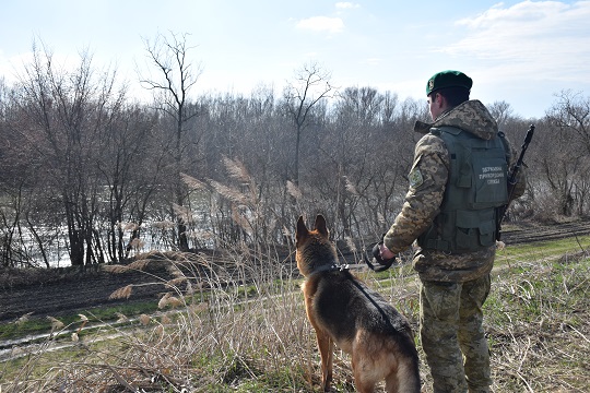 Закарпатець намагався незаконно перетнути кордон, аби повернутися на місце роботи в Угорщині