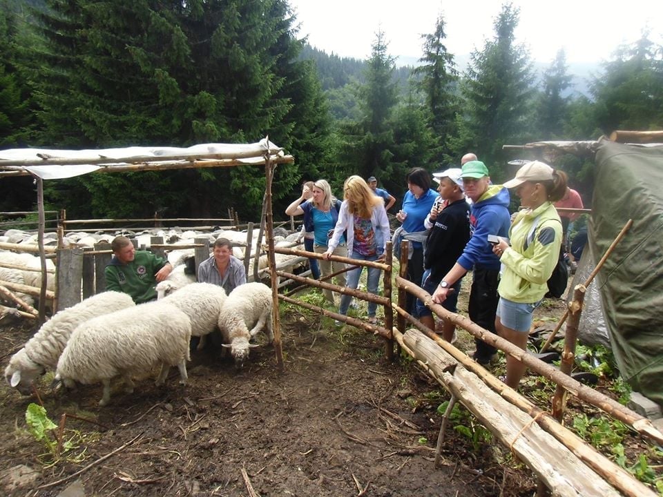 На Закарпатті туристів вчать вівчарству та виготовляти бринзу (ФОТО)