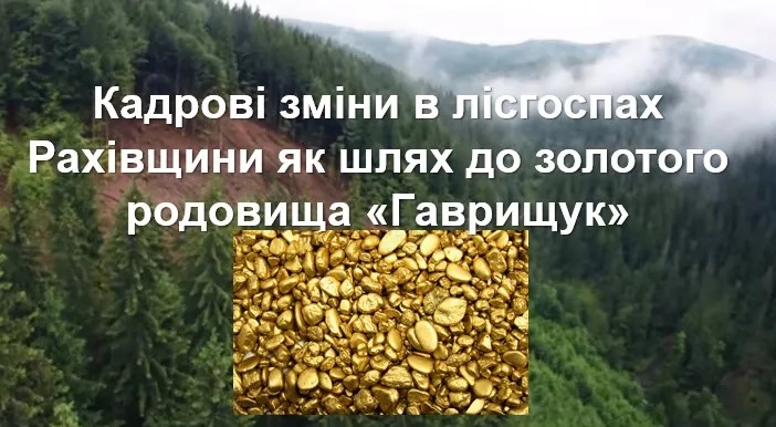 Ліс з відблиском золота