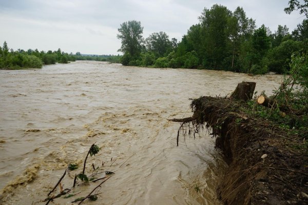 На Тячівщині відновлять захисні дамби, пошкоджені паводком