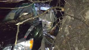 На Тячівщині Renault врізався в дерево: пасажир загинув, водій – у реанімації