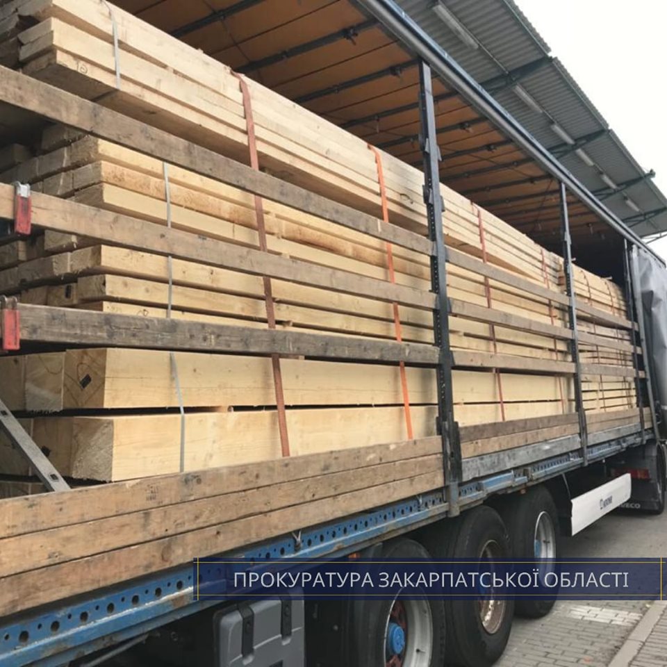 Закарпатка, яка налагодила схему контрабандного переміщення деревини до ЄС, постане перед судом