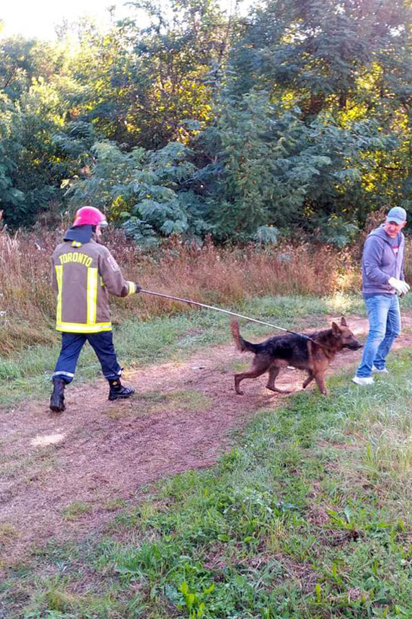 В Ужгороді рятувальники витягли собаку, що впав у каналізаційний люк (ФОТО)
