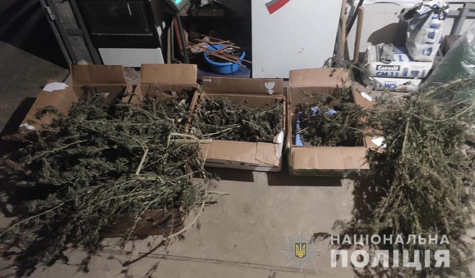 До 8 років ув'язнення загрожує мешканцю Мукачівщини, у якого вдома знайшли понад 3 кг марихуани (ФОТО)