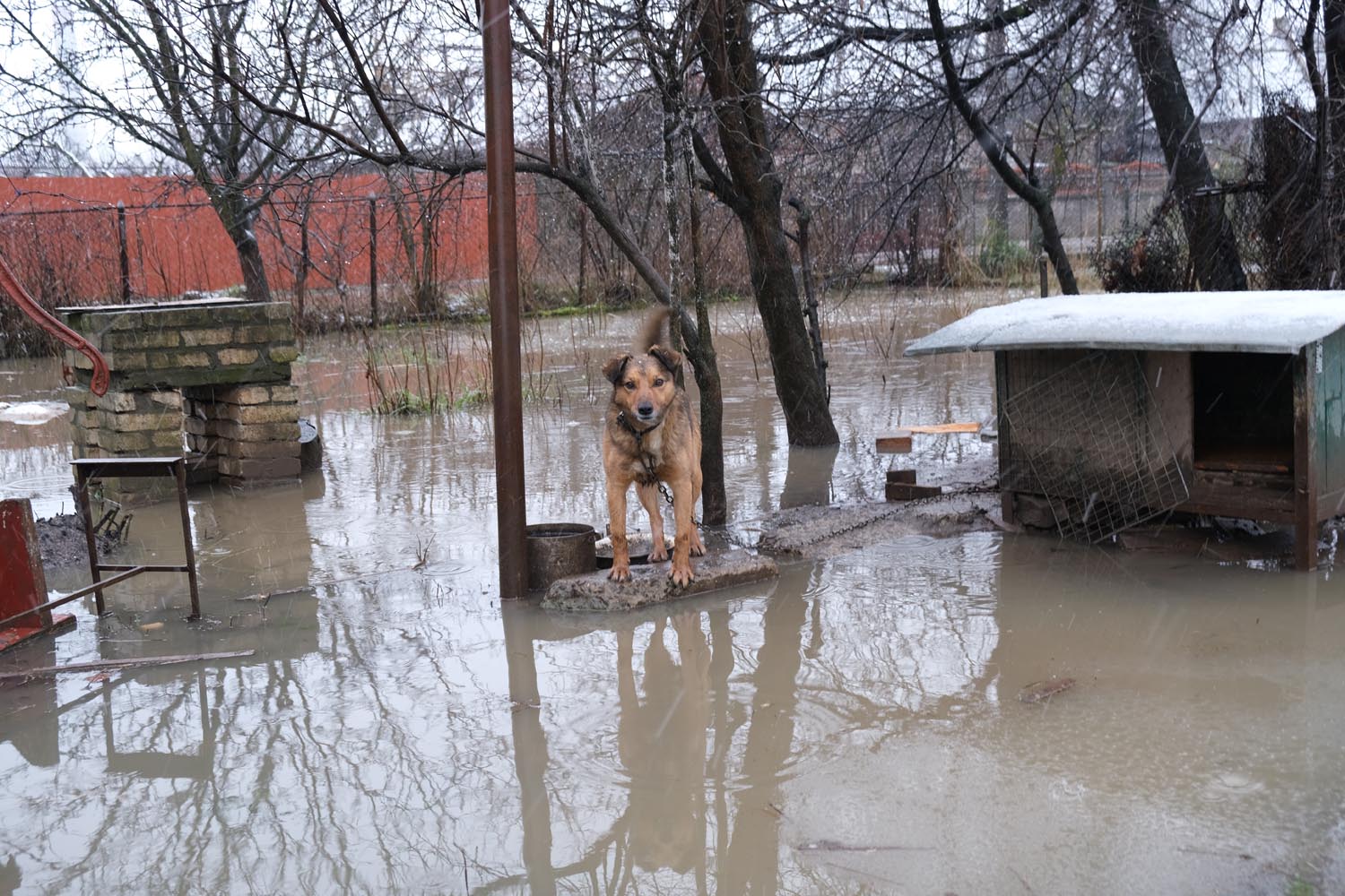 Через дощі і захаращеність канав підтопило дворогосподарства в Ужгороді та на Ужгородщині (ФОТО)