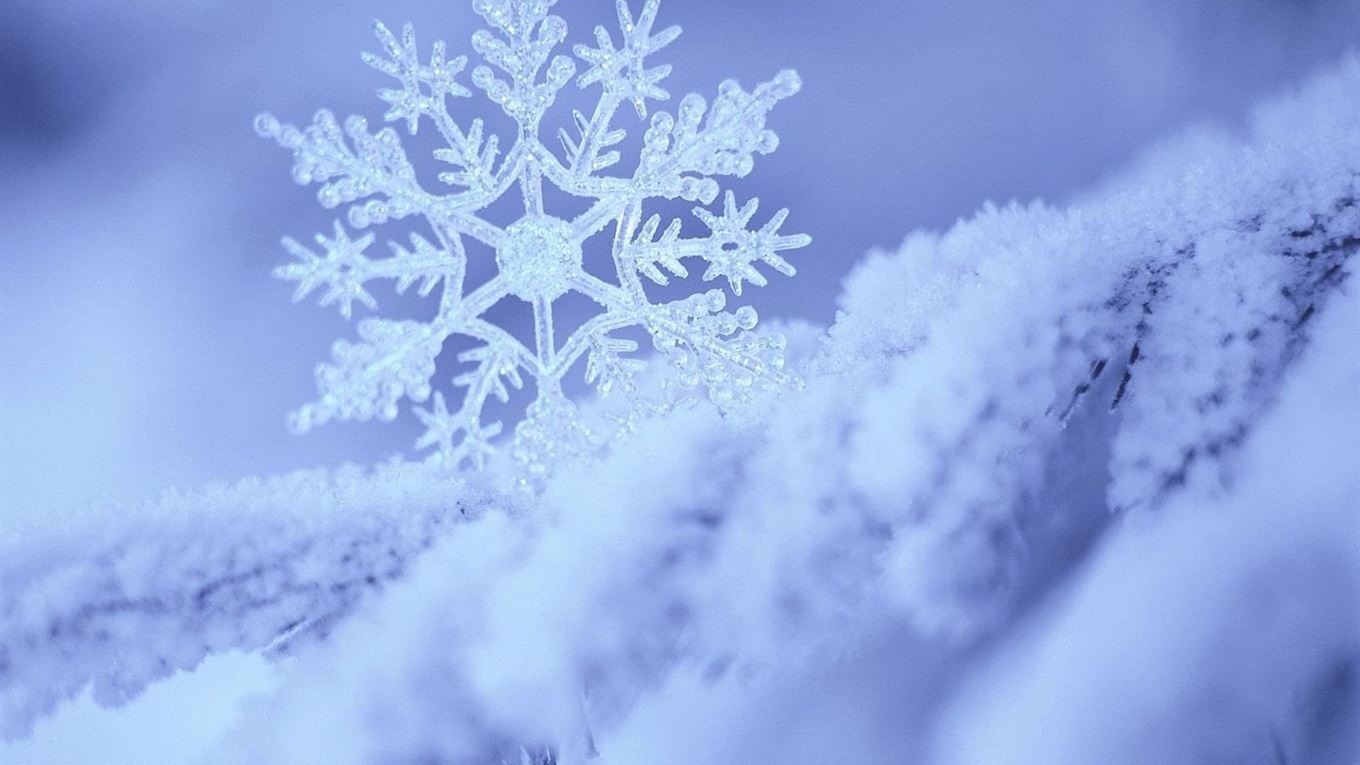 На Закарпатті 13 січня чекають сильний сніг та ожеледицю