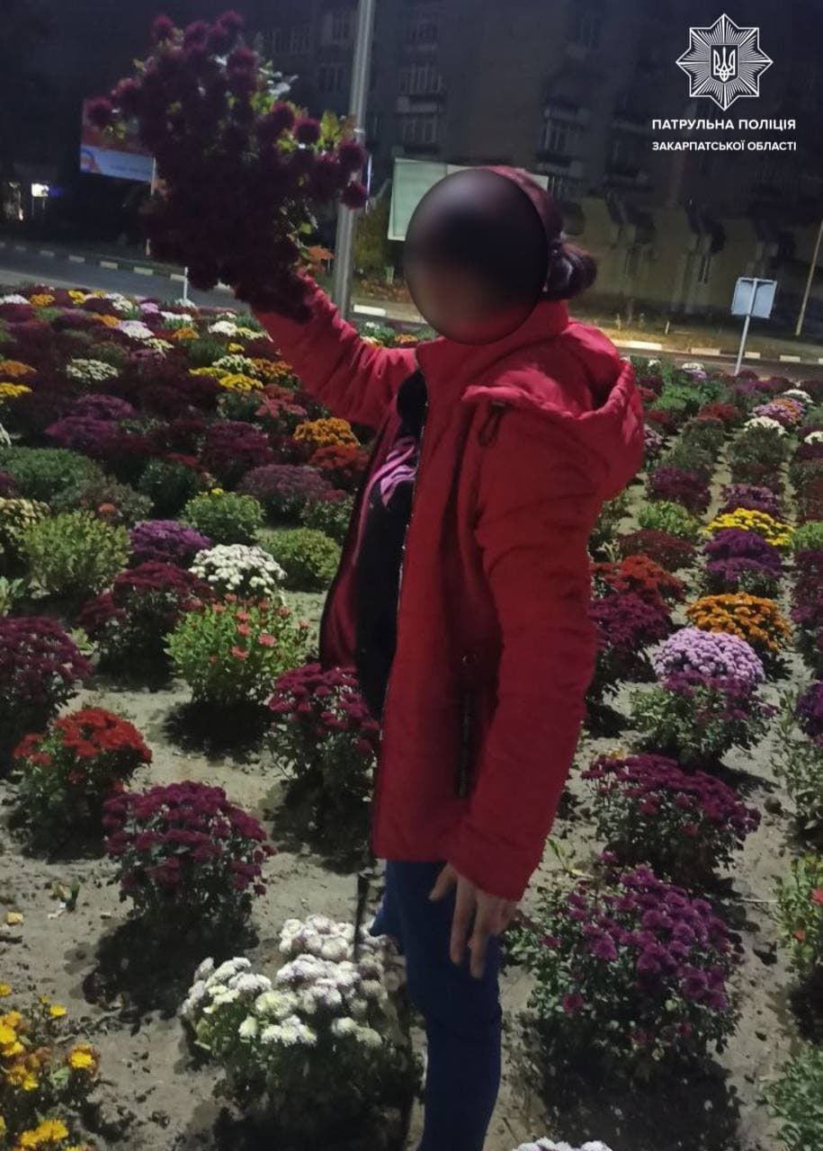 В Ужгороді оштрафували жінку, що серед ночі виривала з клумби квіти (ФОТО)