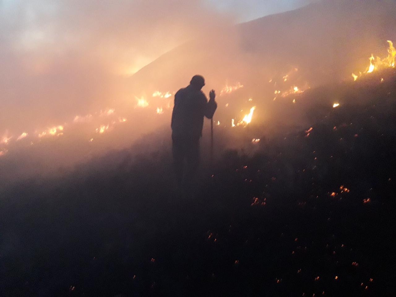 100 пожежних і лісівників гасили пожежу сухостою на 15 га полонини біля села Кваси на Рахівщині (ФОТО)