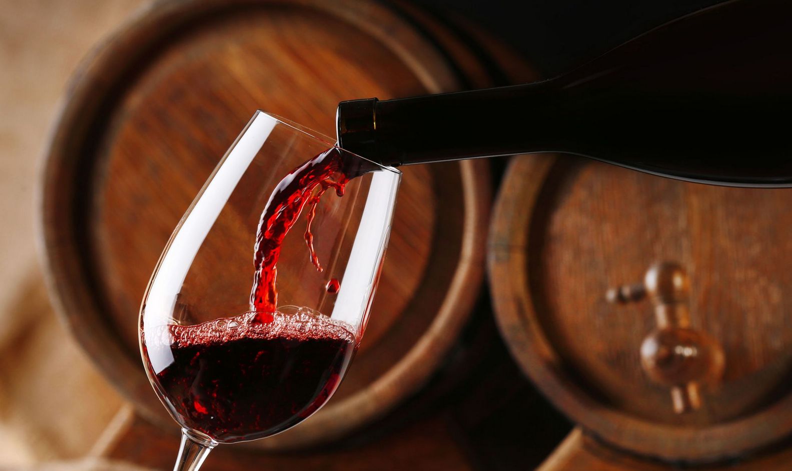 На Закарпатті 4 малі винороби виготовляють вино з ліцензією