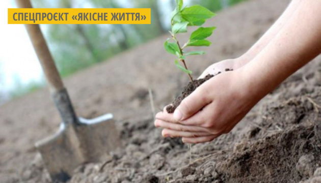 Фото з відкритих джерел