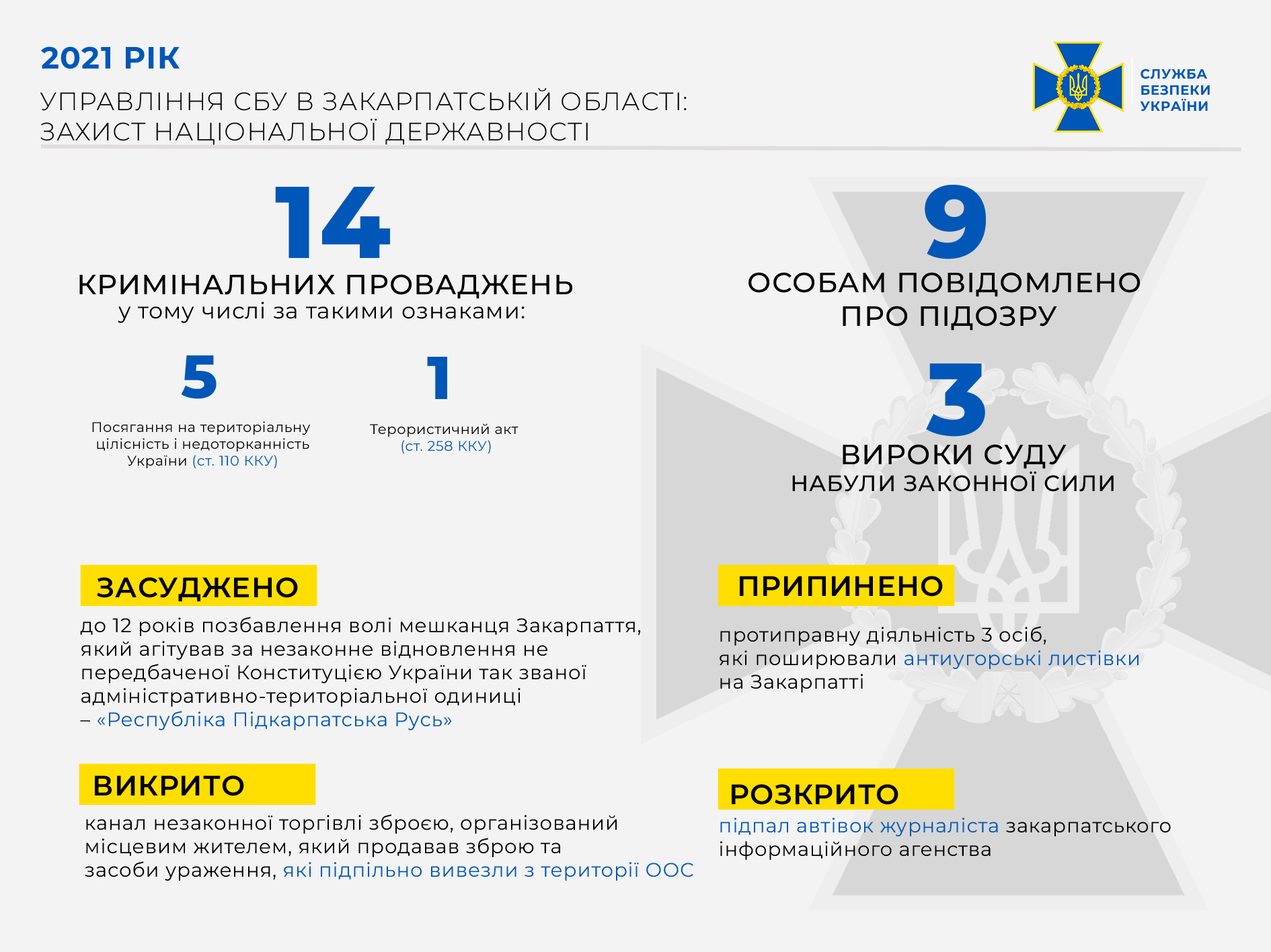 На Закарпатті з початку року 9 особам оголошено про підозру у скоєнні злочинів проти української державності