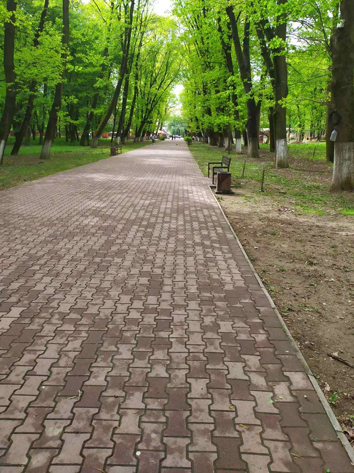 За незаконне відчуження нерухомості в Боздоському парку в Ужгороді судитимуть двох осіб