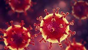 За добу в Ужгороді виявлено 104 нові випадки коронавірусної інфекції, 1 людина померла 