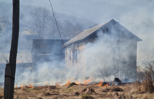 Пожежа, спричинена підпалами сухостою на Ужгородщині, наблизилася впритул до будинків (ФОТО, ВІДЕО)
