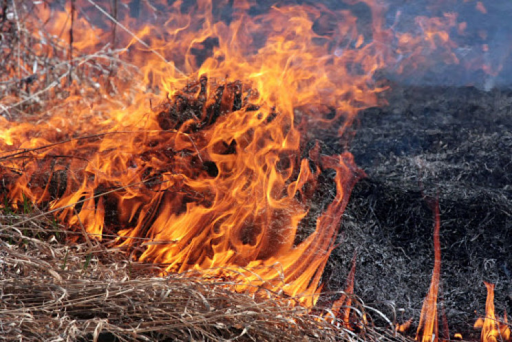 На Мукачівщині жінка, спалюючи суху траву, опинилася в реанімації у важкому стані з опіками
