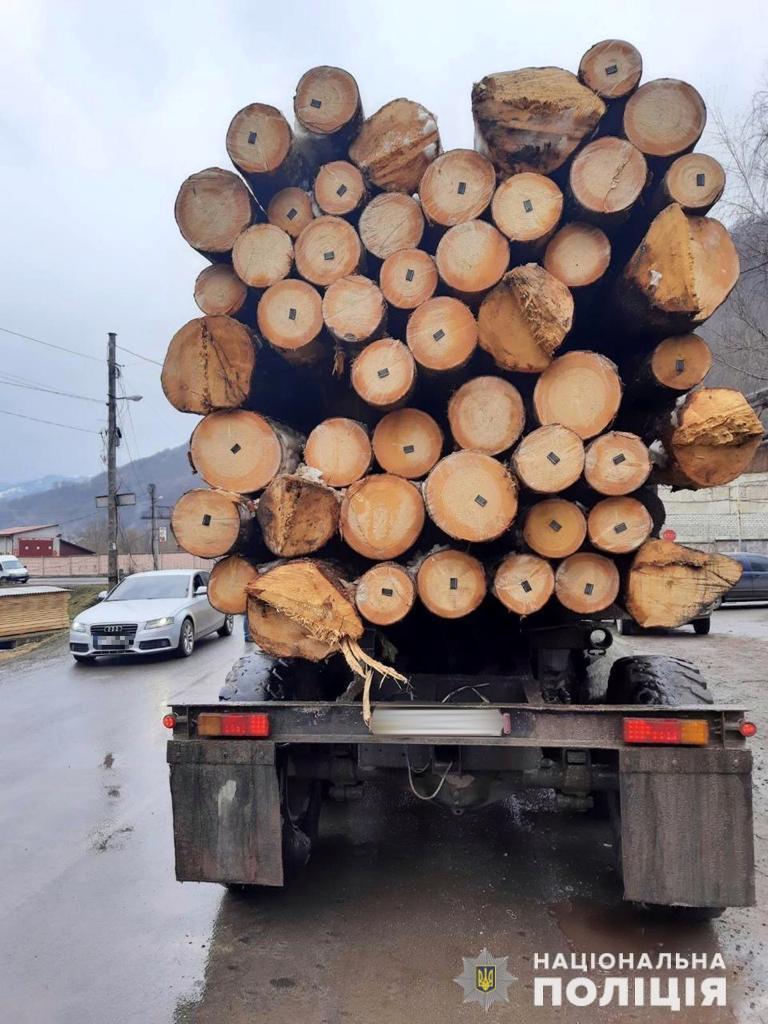 За три місяці на Закарпатті зафіксували понад три десятки випадків порушень у сфері лісового господарства (ФОТО)