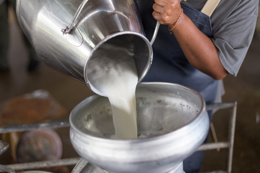 За підсумками 2020-го року Закарпаття – серед аутсайдерів у виробництві молока