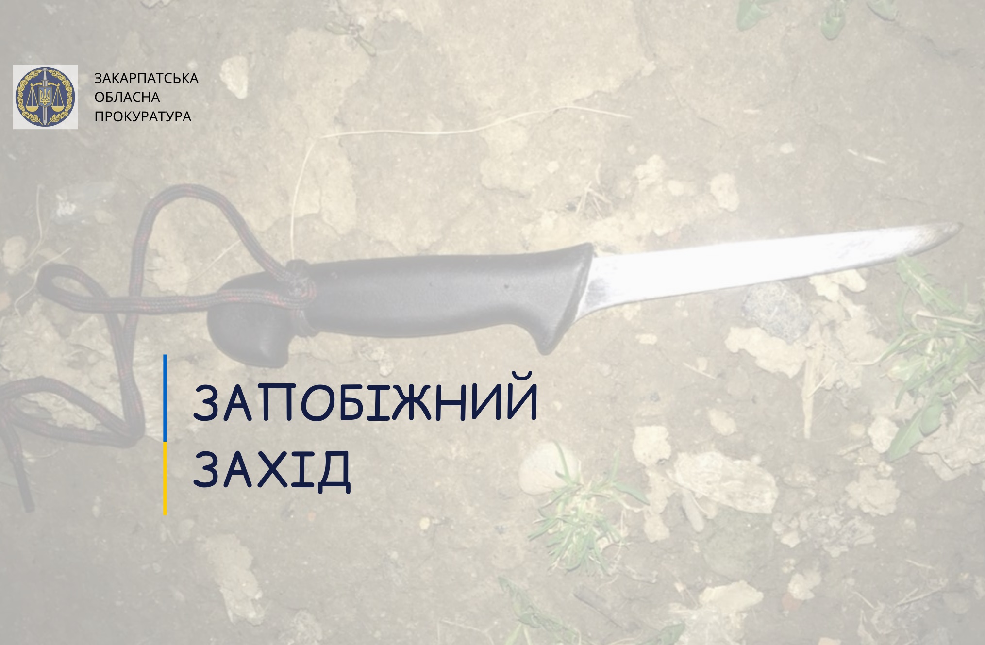 Ужгородця, що ударив ножем у груди співмешканку, взято під варту