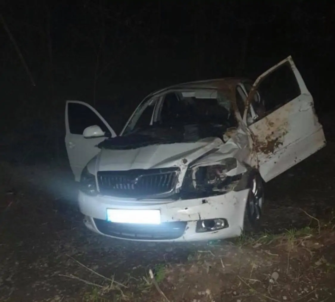 На Берегівщині через п'яного водія авто злетіло з дороги (ФОТО)