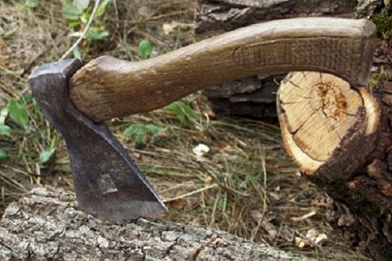 Мешканця Тячівщини підозрюють у незаконній порубці лісу зі збитками у 245 тис грн 
