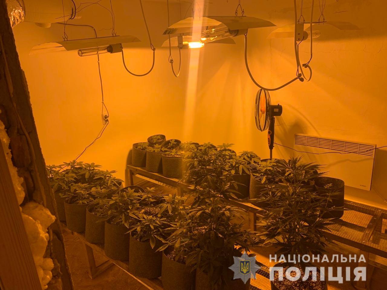 На Рахівщині чоловік облаштував "мінілабораторію" з вирощування конопель (ФОТО)