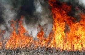 Понад 600 загорань сухостою ліквідували рятувальники на Закарпатті з початку року