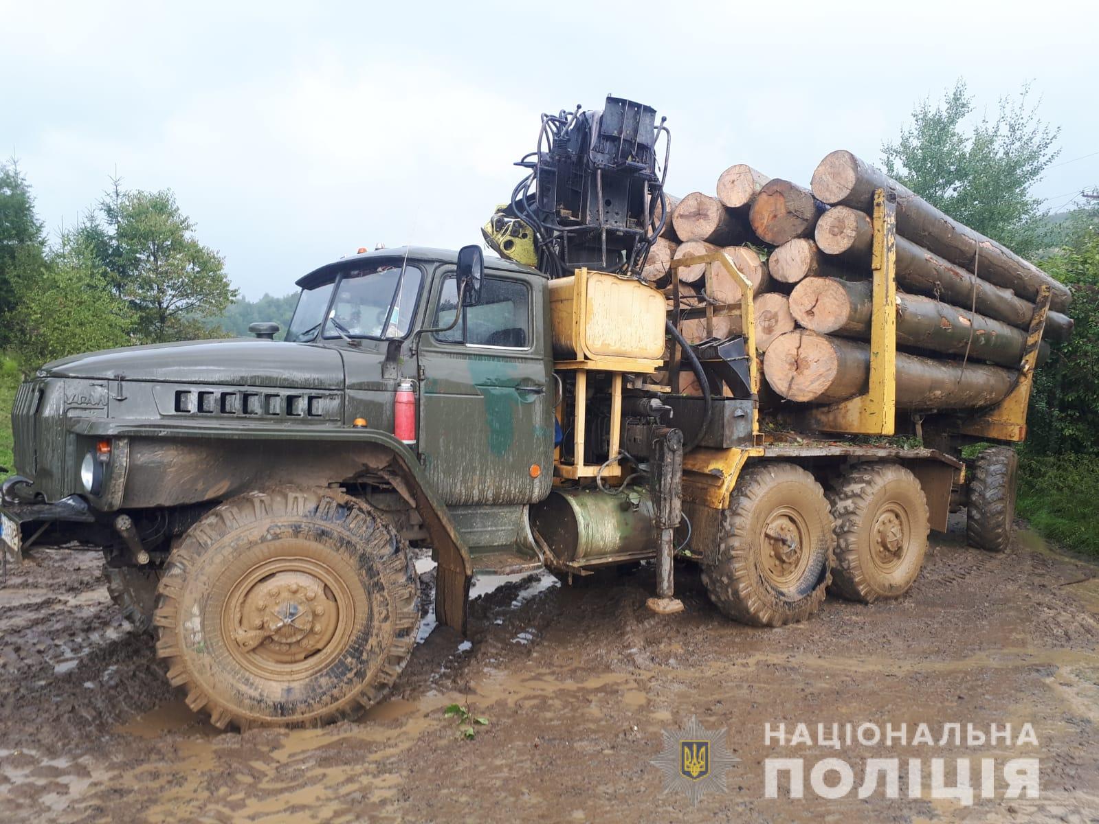 Неподалік Сваляви затримали вантажівку з нелегальною деревиною (ФОТО)