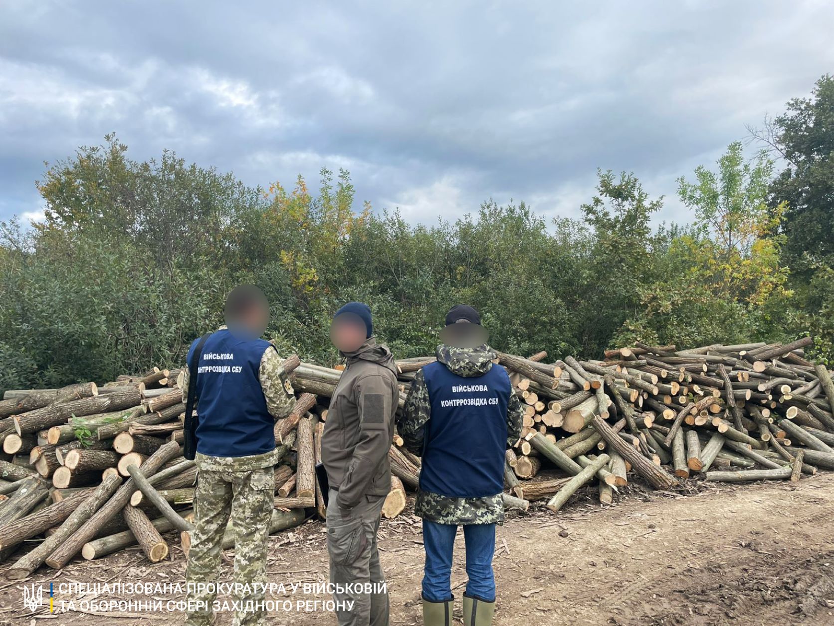На Закарпатті затримали "чорних лісорубів", що вирубали близько 200 дубів, грабів та акацій у лісі військового містечка (ФОТО)
