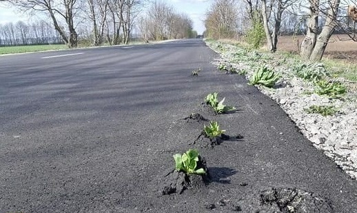 Підозрювана в крадіжці бюджетного мільйону компанія ремонтуватиме дороги Виноградівської ОТГ