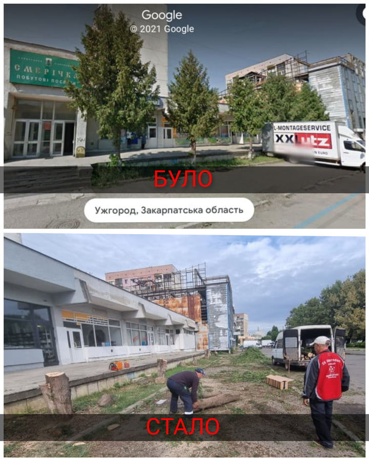 Екоiнспекція оштрафувала Ужгородську міськраду за незаконно зрізані дерева на Грушевського