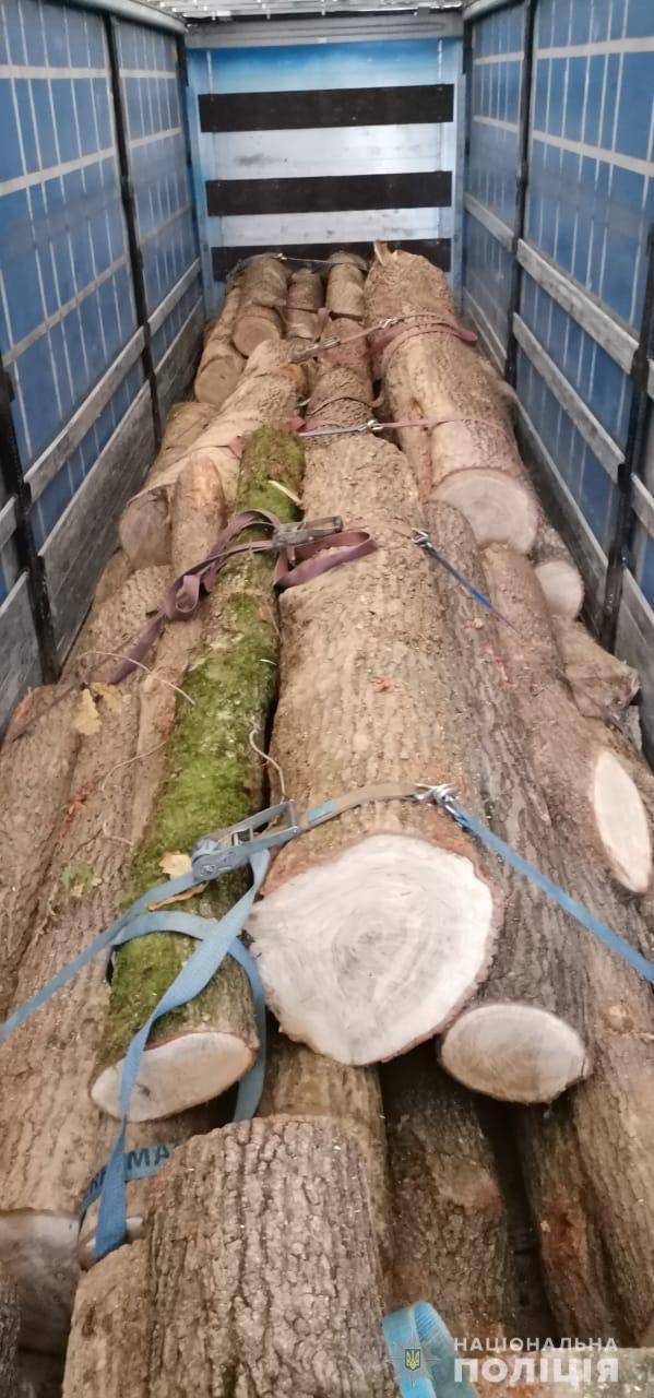 Вантажівку з нелегальною деревиною затримали на Тячівщині (ФОТО)