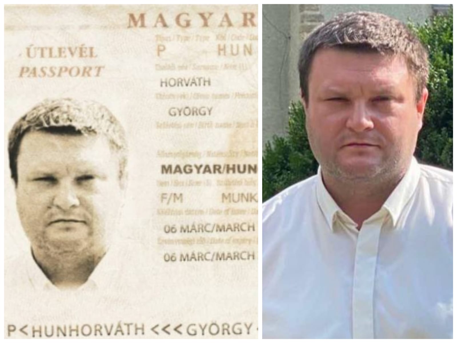 Мукачівський сайт опублікував "фотошоп" угорського "паспорта" кандидата в заступники голови Закарпатської ОДА Горвата