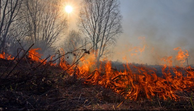 Кількість пожеж в екосистемах Закарпаття цьогоріч зросла на 210%