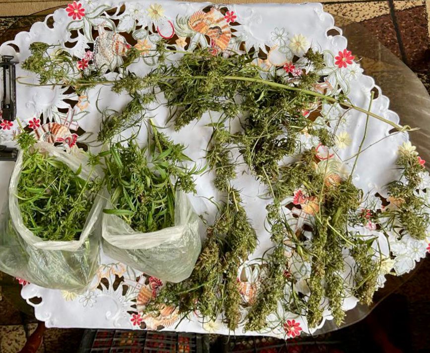 На Мукачівщині у чоловіка вилучили майже пів кілограма марихуани (ФОТО)
