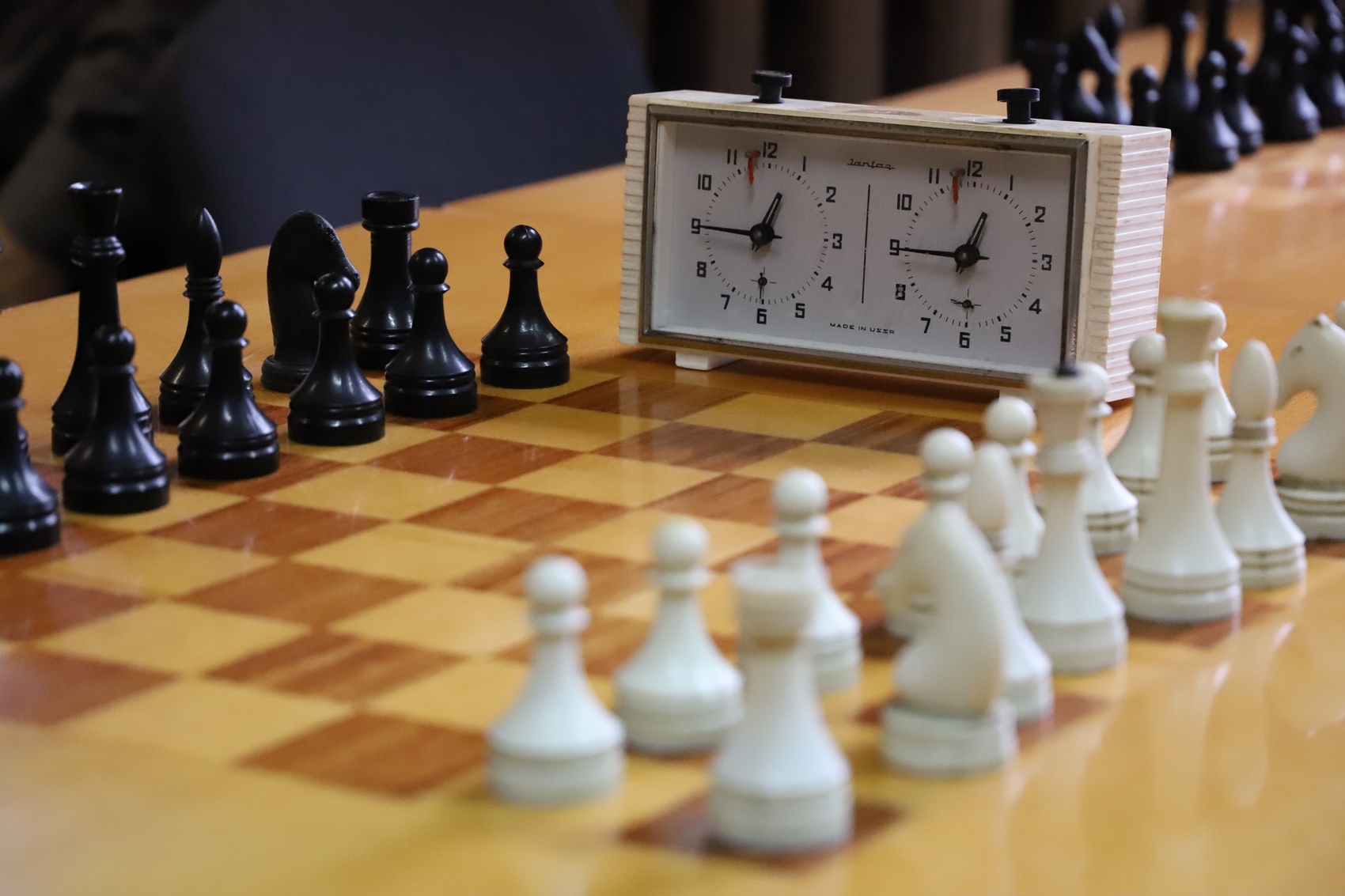 В Ужгороді проходять шахові змагання (ФОТО)