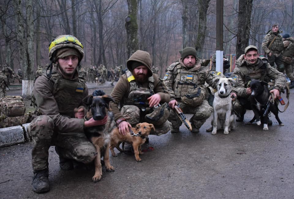Прикордонний підрозділ повернувся на Закарпатя на ротацію із врятованими від війни собаками (ФОТО)