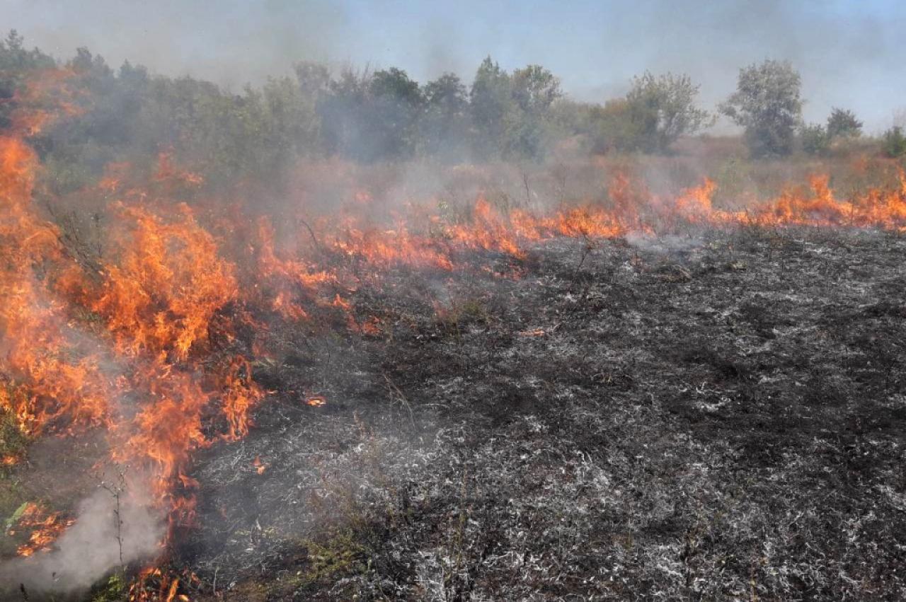 На Ужгородщині жінка, спалюючи суху траву, отримала 80% опіків 