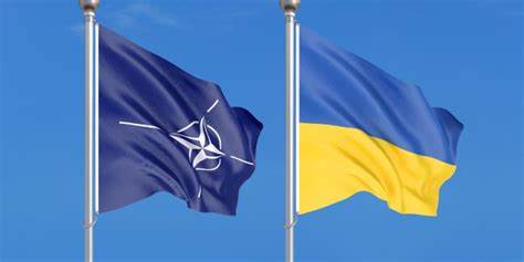 Територіальні громади Закарпаття одностайно підтримують прохання до НАТО закрити небо над Україною