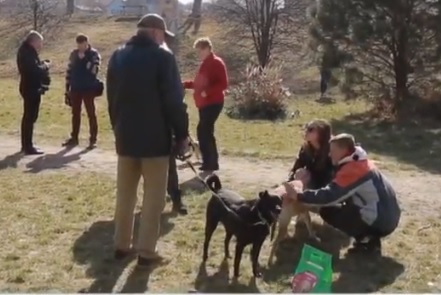 В Ужгороді для переселенців, що евакуювалися разом зі своїми песиками, влаштували dog-тусовку (ВІДЕО)