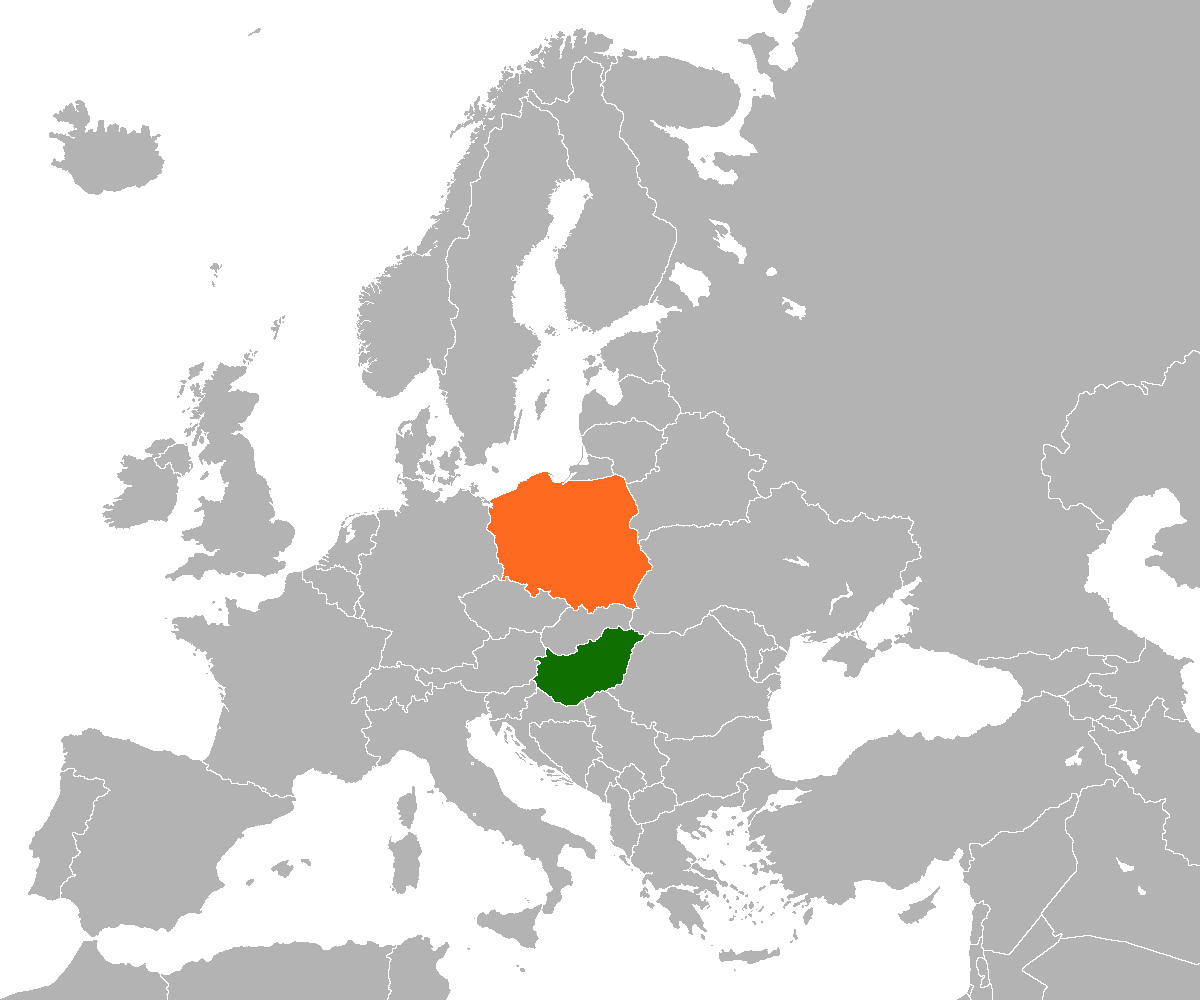 В МЗС Польщі розкритикували політику Угорщини щодо України і рф