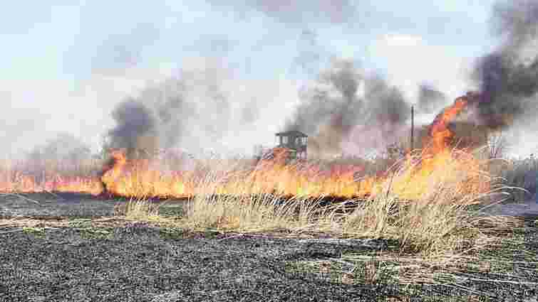 У Вилоцькій громаді на Закарпатті внаслідок спалювання сухої трави загинув чоловік