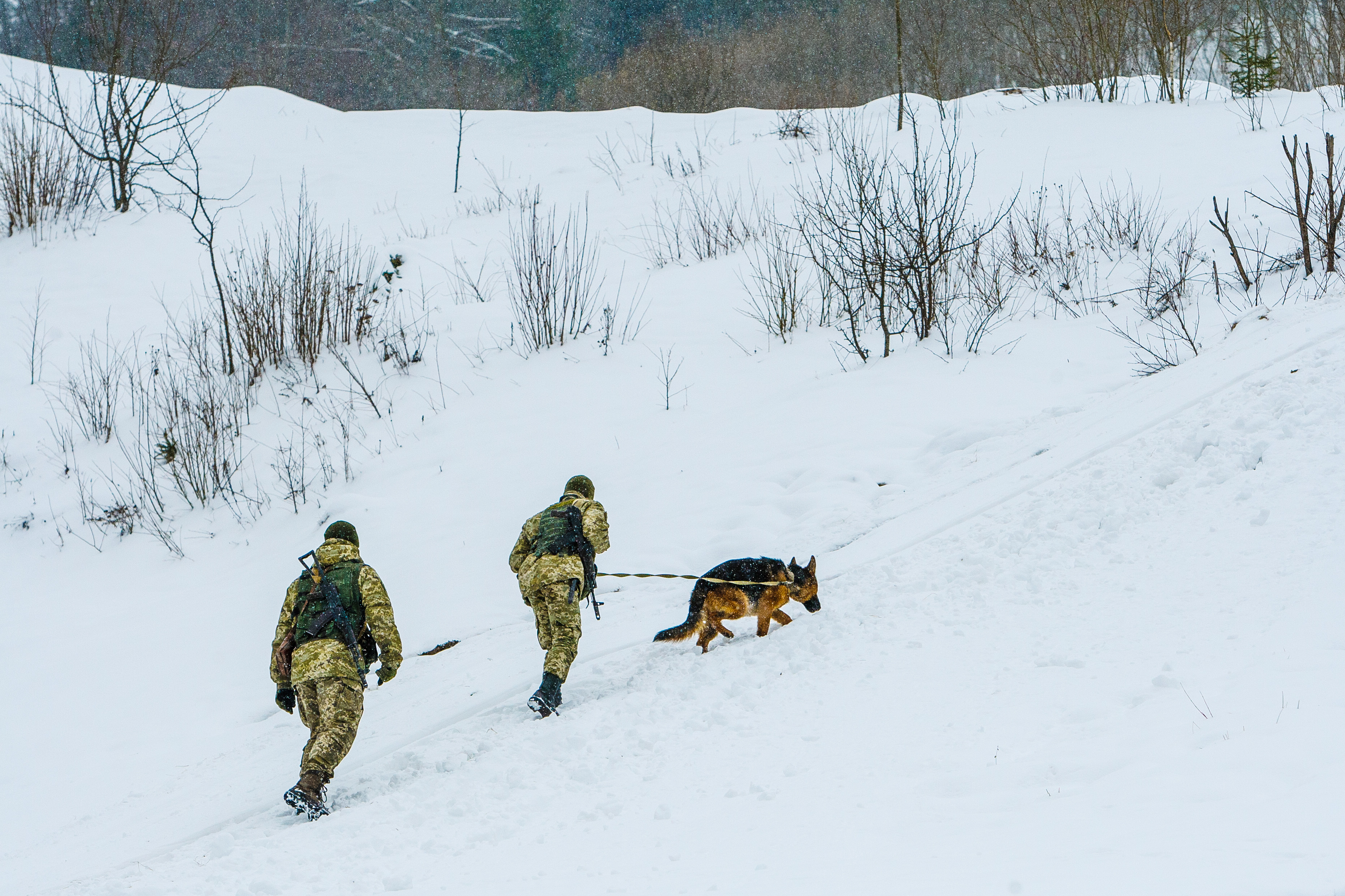На Закарпатті рятують групу осіб, які потрапили у сніговий полон