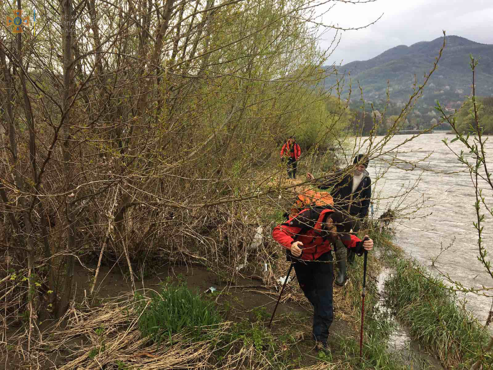 На Закарпатті досі не знайшли чоловіка, який з'їхав у річку ще 25 квітня