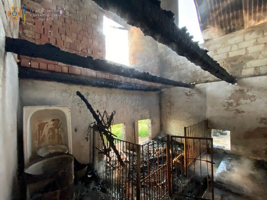 Під час пожежі у хліві на Берегівщині загинуло 40 курчат (ФОТО)