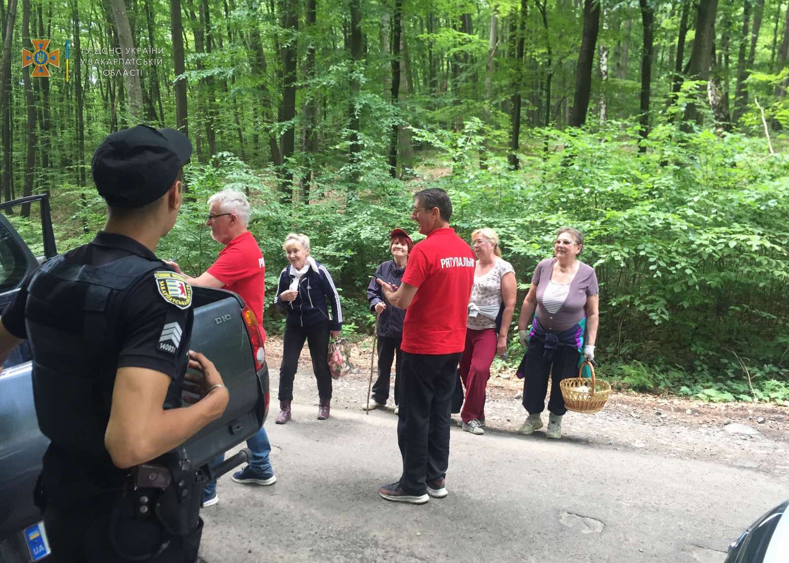 На Ужгородщині четверо літніх жінок заблукали в лісі, збираючи суницю (ФОТО) 