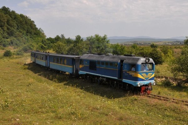 Закарпатська облрада погодилася взяти на баланс Боржавську вузькоколійку та дитячу залізницю в Ужгороді