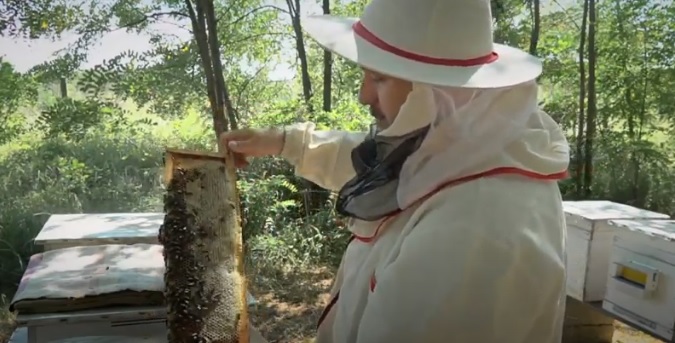 Мукачівський священник 18 років займається бджільництвом (ВІДЕО)