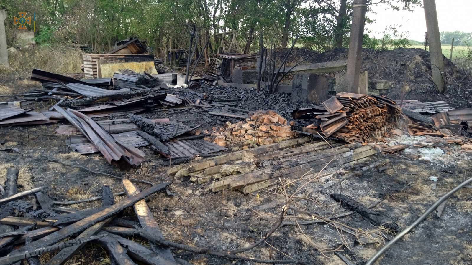 На Ужгородщині люди, спалюючи суху траву, спалили заразом надвірну споруду (ФОТО)